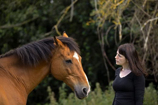 A horse being handled quietly outdoors